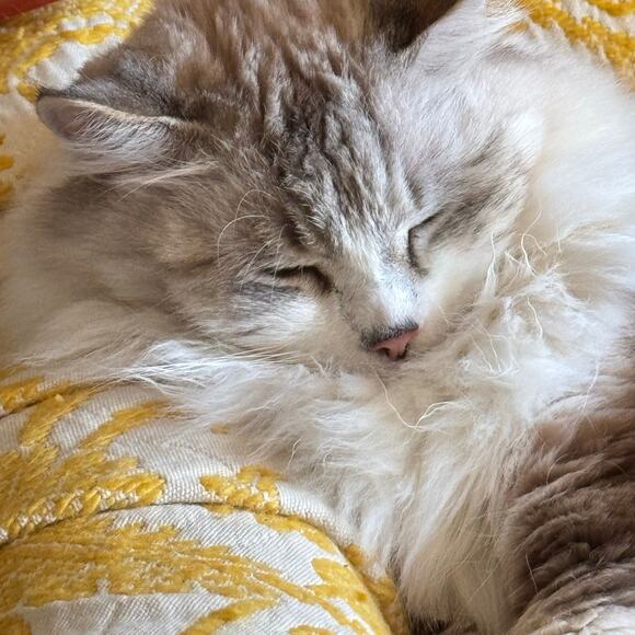 1950s Carol Craig Brocade Cocktail Dress Jacket Set Gold Sheath Formal Vintage - Picture 16 of 16